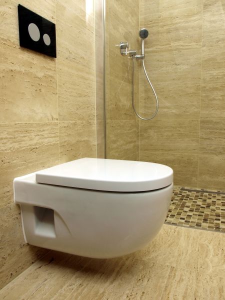 Toilet Component Replacement